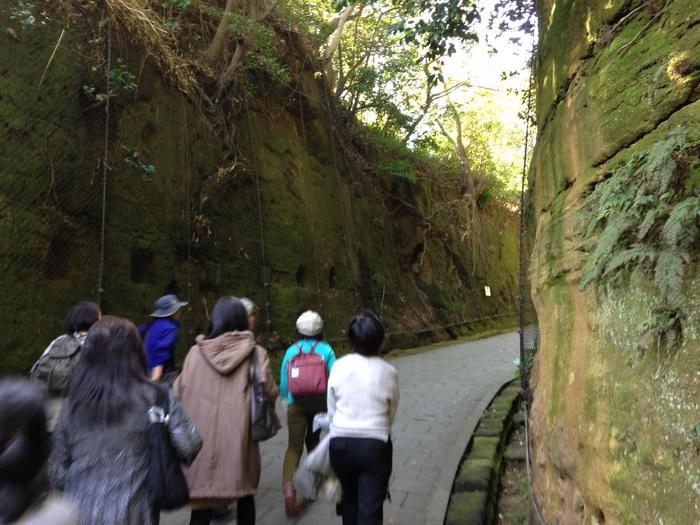 首都圏からこんな近くに無人島が？「猿島」初上陸！