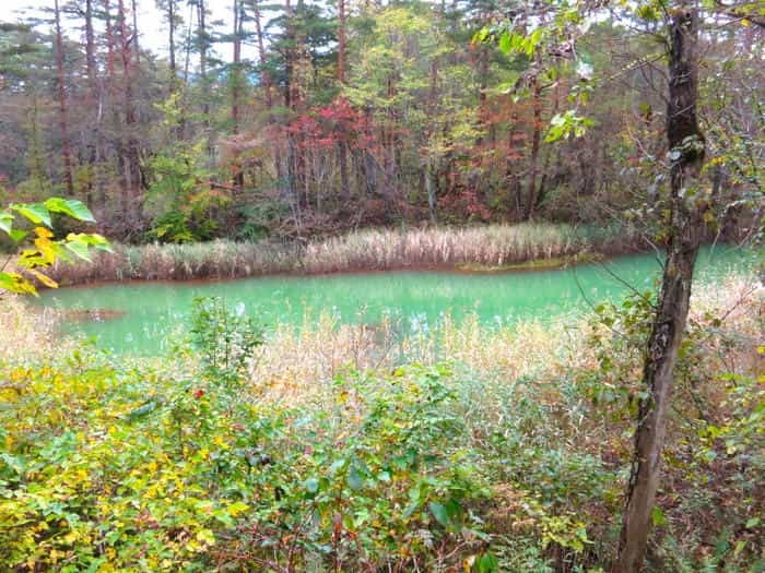 「五色沼湖沼群」散策のススメ！ 福島県裏磐梯の神秘の地を完全攻略