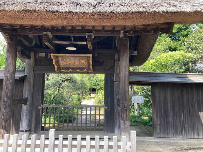 【鎌倉】地元民が教える大船〜北鎌倉のマニアックおさんぽ道