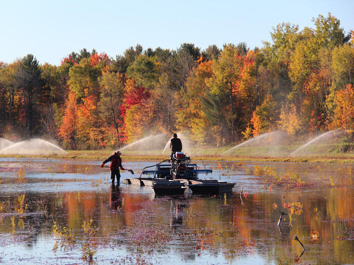 カナダ・オンタリオのリゾート地ムスコカ（Muskoka）で秋を堪能する