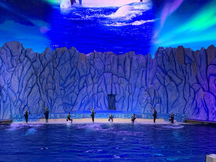 【子連れアジア旅行】マカオ近郊　ギネス認定！世界最大級の水族館「珠海长隆海洋王国」