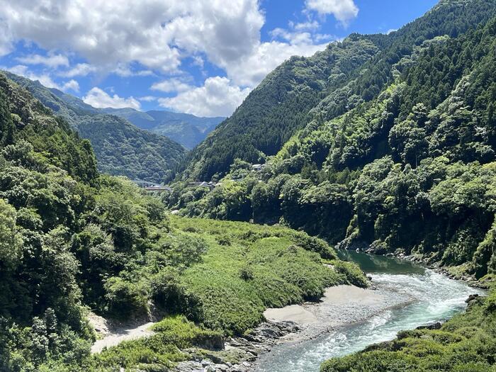 【徳島】日本三大秘境のひとつ四国のへそ付近にある大歩危と祖谷の見どころと名店を紹介