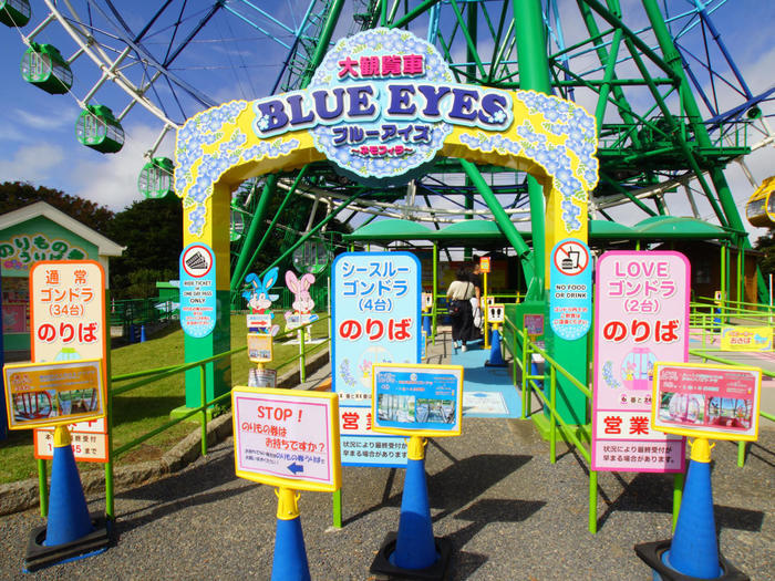 国営ひたち海浜公園の完全ガイド～ネモフィラ・コキア以外の魅力もたっぷり紹介～