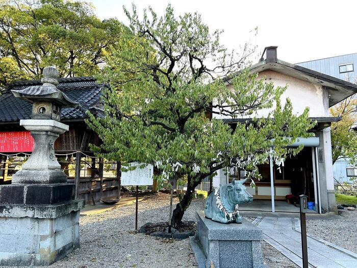 【富山】第2弾 ノスタルジーが漂う高岡の街を、のんびりゆったり散策♪