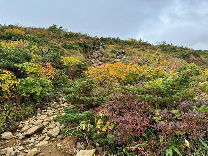 【日本百名山】20座目は紅葉の絨毯を見に安達太良山へ（福島県）