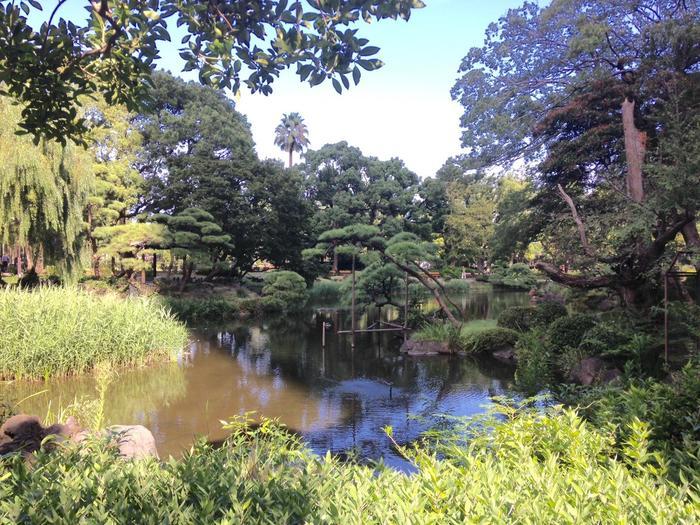 東京／お散歩好きな方必見！都心のど真ん中にこんな緑豊かな場所があるなんて・・・