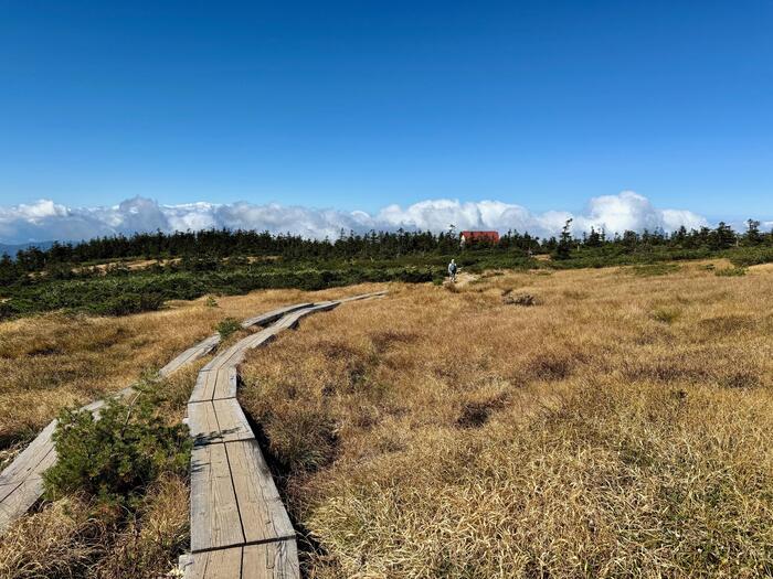 【日本百名山】22座目は西吾妻山...初級者向け？いえいえ結構大変な山でした（山形県・福島県）