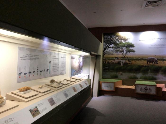 一歩踏み込むと別世界！？どこを撮ってもインスタ映え！バルド国立博物館【アルジェリア】