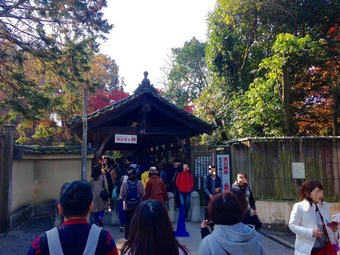 京都　東福寺の紅葉は、やはり圧倒的に美しかった。