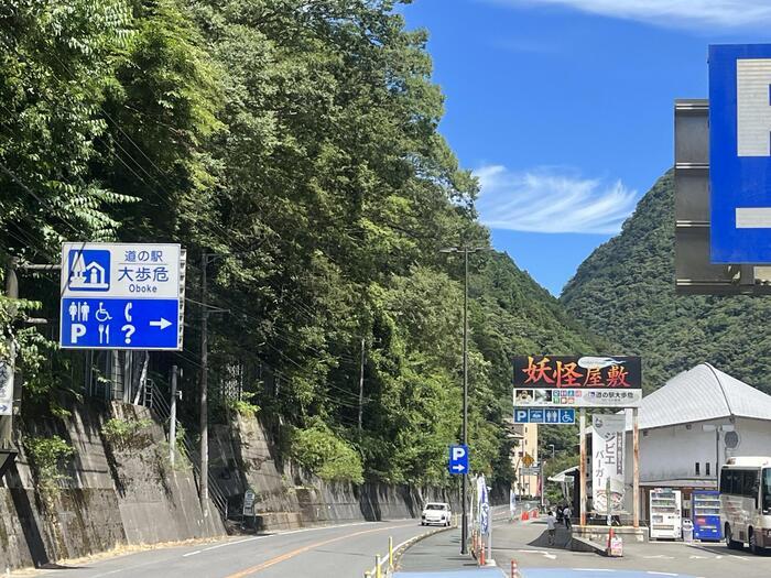 【徳島】日本三大秘境のひとつ四国のへそ付近にある大歩危と祖谷の見どころと名店を紹介