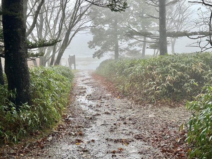 【日本百名山】24座目は大台ヶ原山を周回するはずが...（奈良県・三重県）