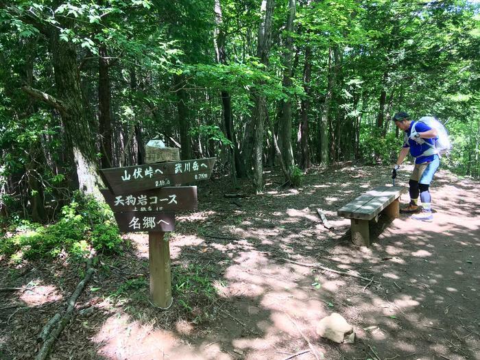 【奥武蔵】武川岳～焼山～二子山 縦走登山ルート