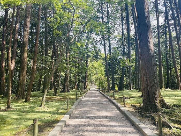 【奈良】教科書で見たあの方に会いに行こう！～唐招提寺で鑑真和上に苦労を乗り越える力ももらおう～