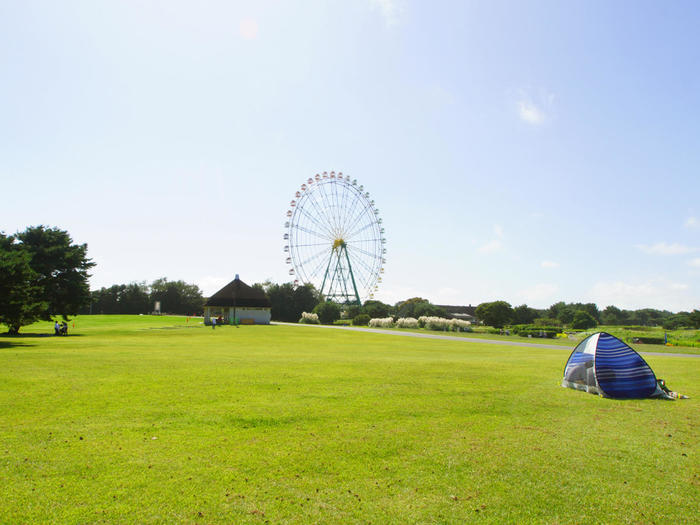 国営ひたち海浜公園の完全ガイド～ネモフィラ・コキア以外の魅力もたっぷり紹介～