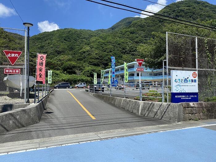 【高知】大人も楽しいぞ！ノスタルジックな「むろと廃校水族館」へ行こう