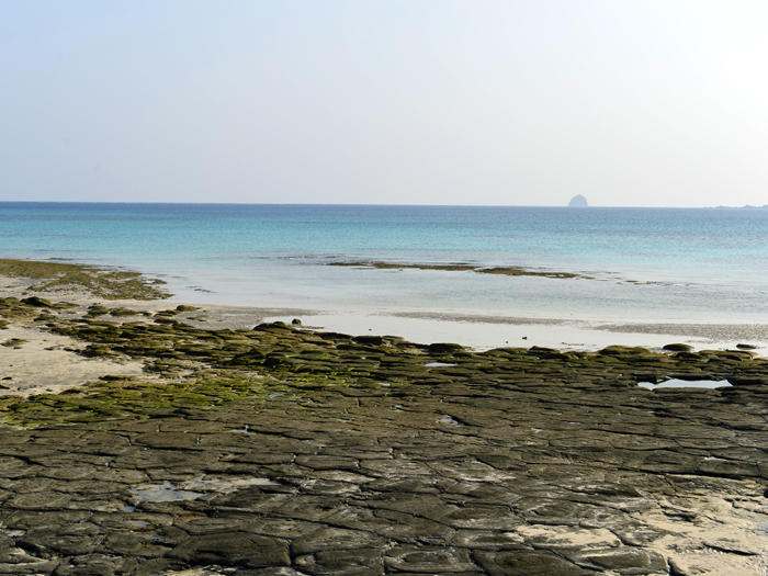 亀の甲羅のような奇岩群！沖縄の奥武島で見られる国の天然記念物