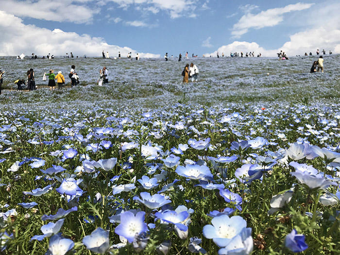 関東の秘境・絶景スポットめぐり！千葉の楽しみ方を、地元の方に聞いてみた