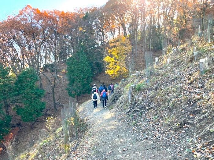 【群馬・藤岡市】桜山公園で森林空間を楽しむセラピー・トレイル体験モニターツアー