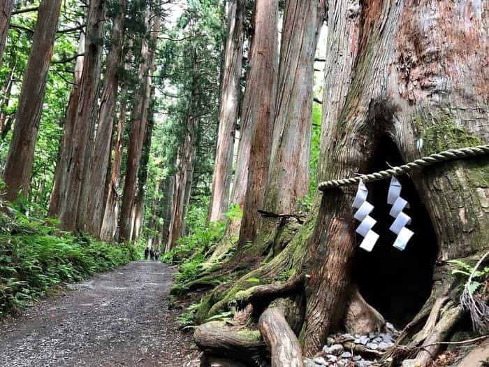 【長野】戸隠神社の見どころを紹介！ご利益、グルメ、御朱印の情報もお届け