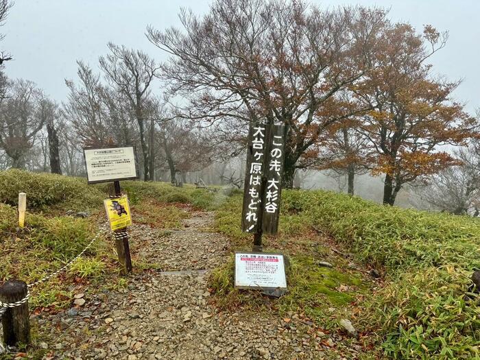 【日本百名山】24座目は大台ヶ原山を周回するはずが...（奈良県・三重県）