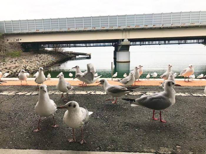 【静岡県浜松市】ワーケーションならここ！食も体験も出会いも大満足の浜松へようこそ！