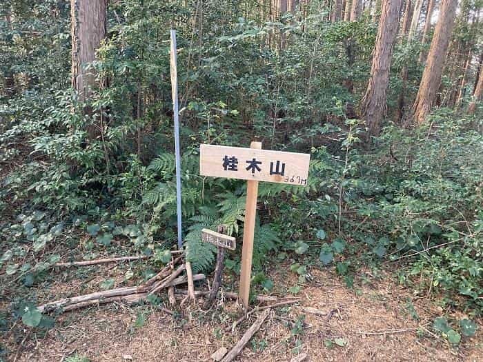 【埼玉県・大高取山】低山でありながら6つの眺望が楽しめる穴場の山