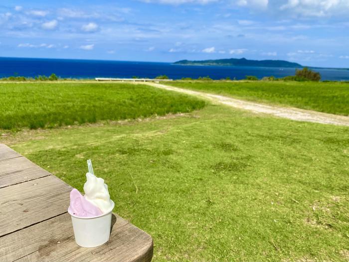 【2022年】沖縄県・離島「石垣島」でドライブ！