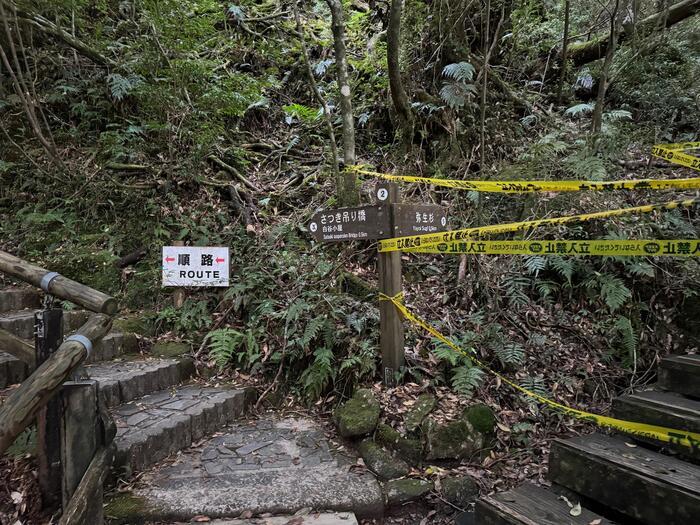 【鹿児島】屋久島の白谷雲水峡に行かれる方へ注意（2024年11月現在）