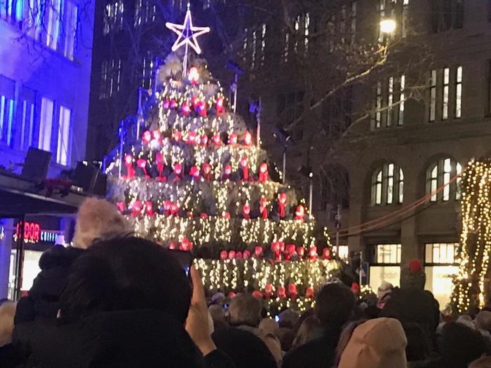 クリスマスシーズン！光のカーテンに彩られた街、チューリッヒへ！