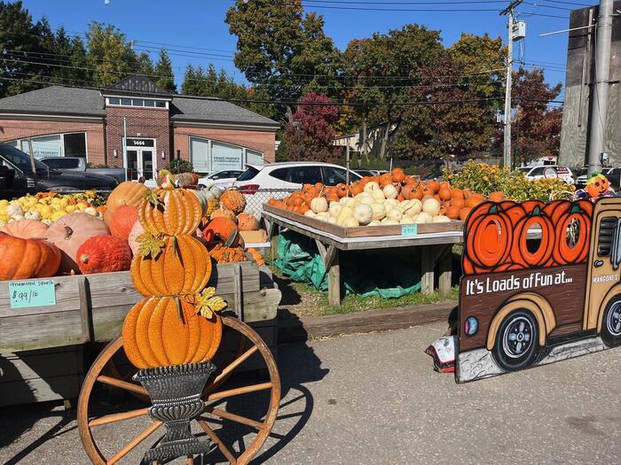 ハロウィンシーズンのアメリカは町中にかぼちゃがいっぱい！