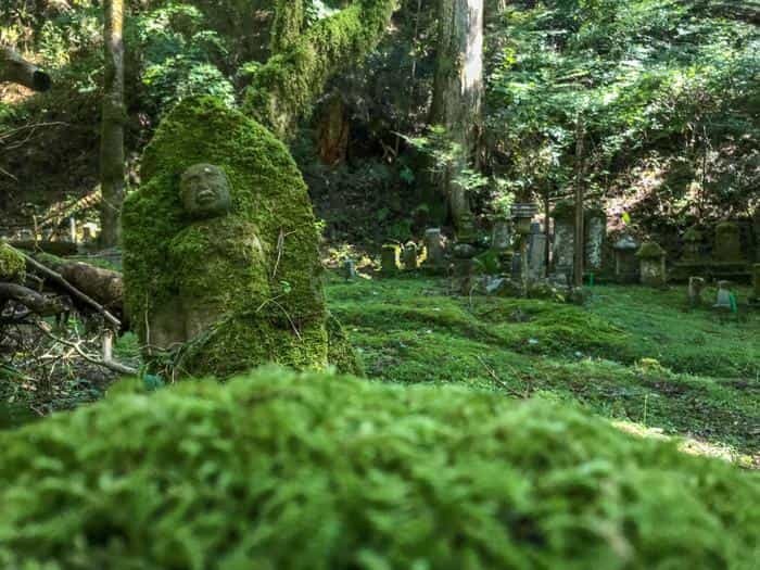 日本仏教の聖地「高野山」の日帰りおすすめ観光コース完全攻略ガイド