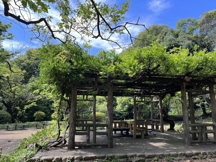 東京で海外旅行をしよう