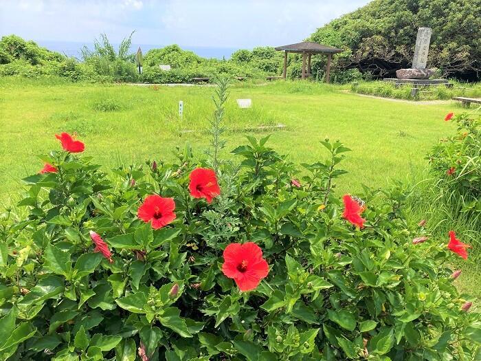 和歌山県を旅するなら、レール＆レンタカーがおすすめ！ 美しい海岸線と雄大な風景を満喫してきました。