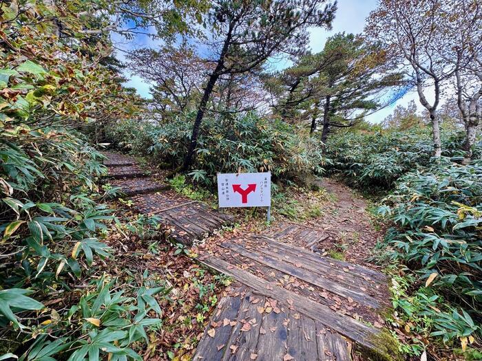 【日本百名山】20座目は紅葉の絨毯を見に安達太良山へ（福島県）