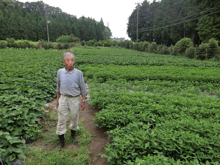 富士・富士宮の観光におすすめ！豊富なグルメにおしゃれなカフェなど