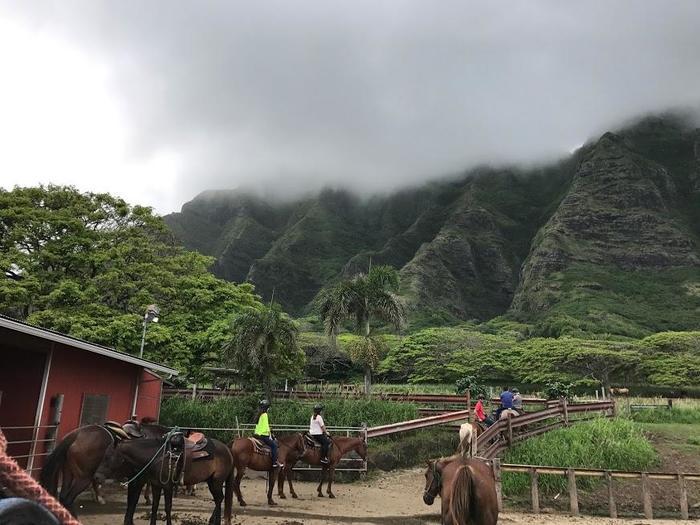 ハワイ旅行の楽しみ方を徹底解説♪初心者さん向け滞在プラン