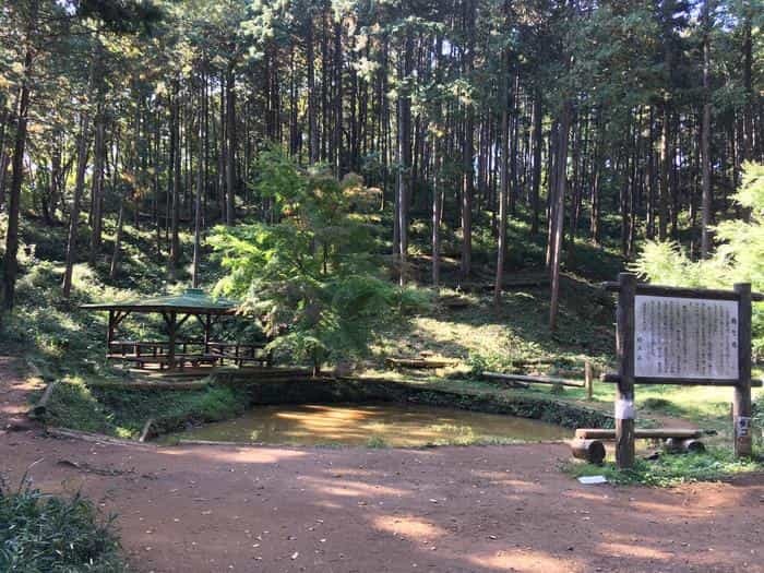 【埼玉県】飯能ハイキング・初心者向けコース（天覧山・多峯主山）