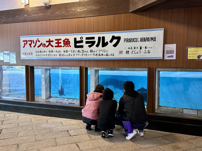 【大分】別府地獄めぐりの巡り方（地獄の紹介）