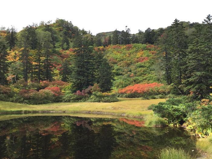 日本一早い紅葉！錦秋の北海道・大雪山ハイキング