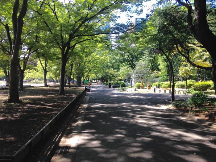 東京／お散歩好きな方必見！都心のど真ん中にこんな緑豊かな場所があるなんて・・・