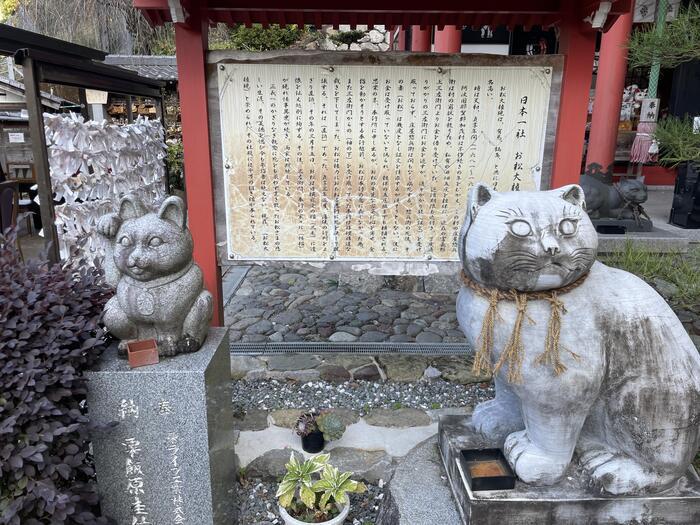 【徳島】猫神様に合格祈願！？「お松大権現」は猫好き必訪のパワースポット