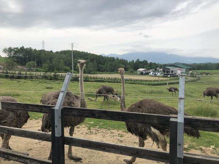 夏でも楽しめる！北海道・ニセコの知る人ぞ知る観光地