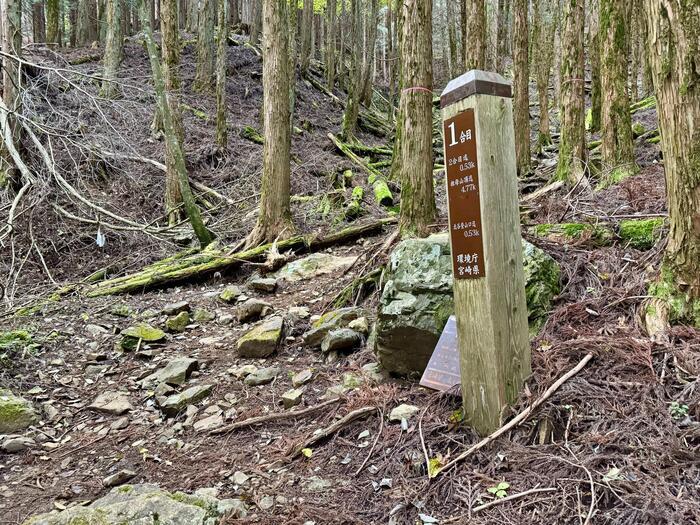 【日本百名山】27座目の祖母山は道迷いに注意が必要（大分県・宮崎県）