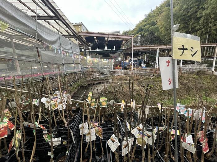 花と歴史が豊富！意外に多い観光スポット大阪府和泉市の見どころをご紹介