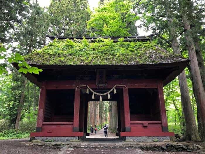 【長野】戸隠神社の見どころを紹介！ご利益、グルメ、御朱印の情報もお届け