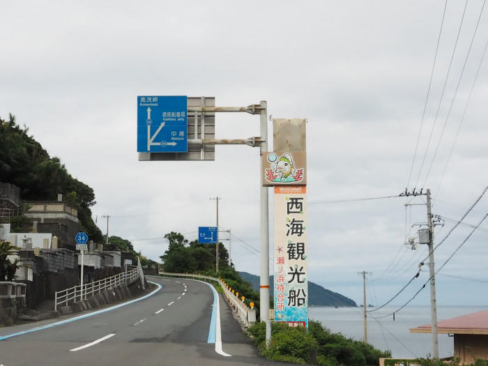 【愛媛県】海好き必見！未来に残したいサンゴや絶景の宇和海を紹介します。