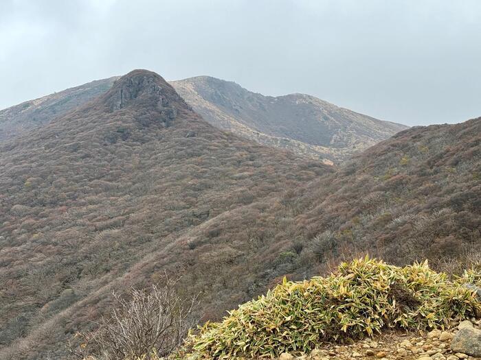 【日本百名山】26座目は摩訶不思議な世界が広がる久住山（大分県）