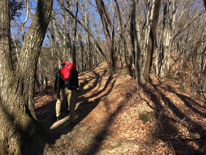 【山登り道】冬山にはなぜ魅力があるのか？＜景信山～城山～高尾山編＞