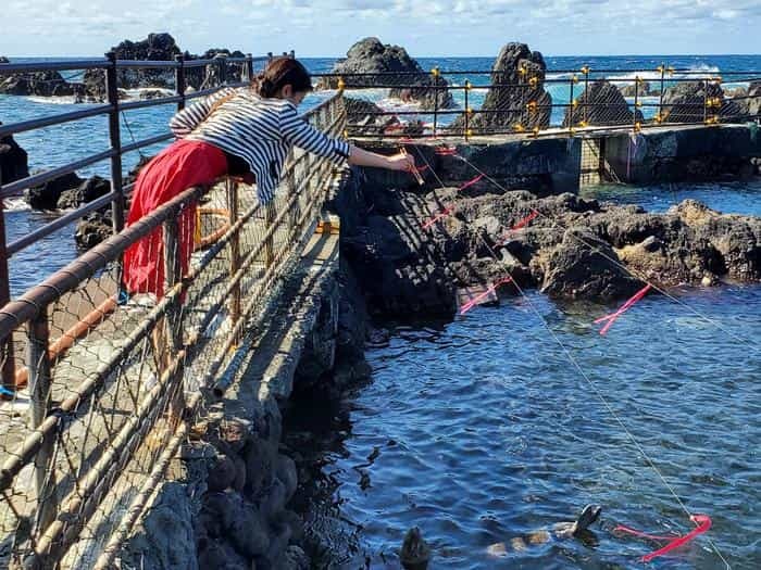 北海道民でも一度は行きたい利尻島へ初上陸！おすすめ観光スポットを7つご紹介します！