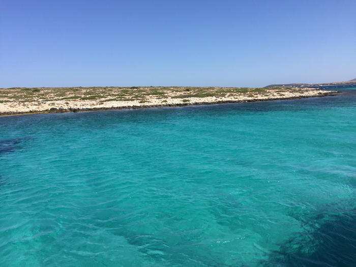 ギリシャ旅行記【その2】パロス島はどこを切り取っても美しいエーゲ海に浮かぶ島